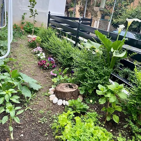 Ariana Apartament Tatil Evi